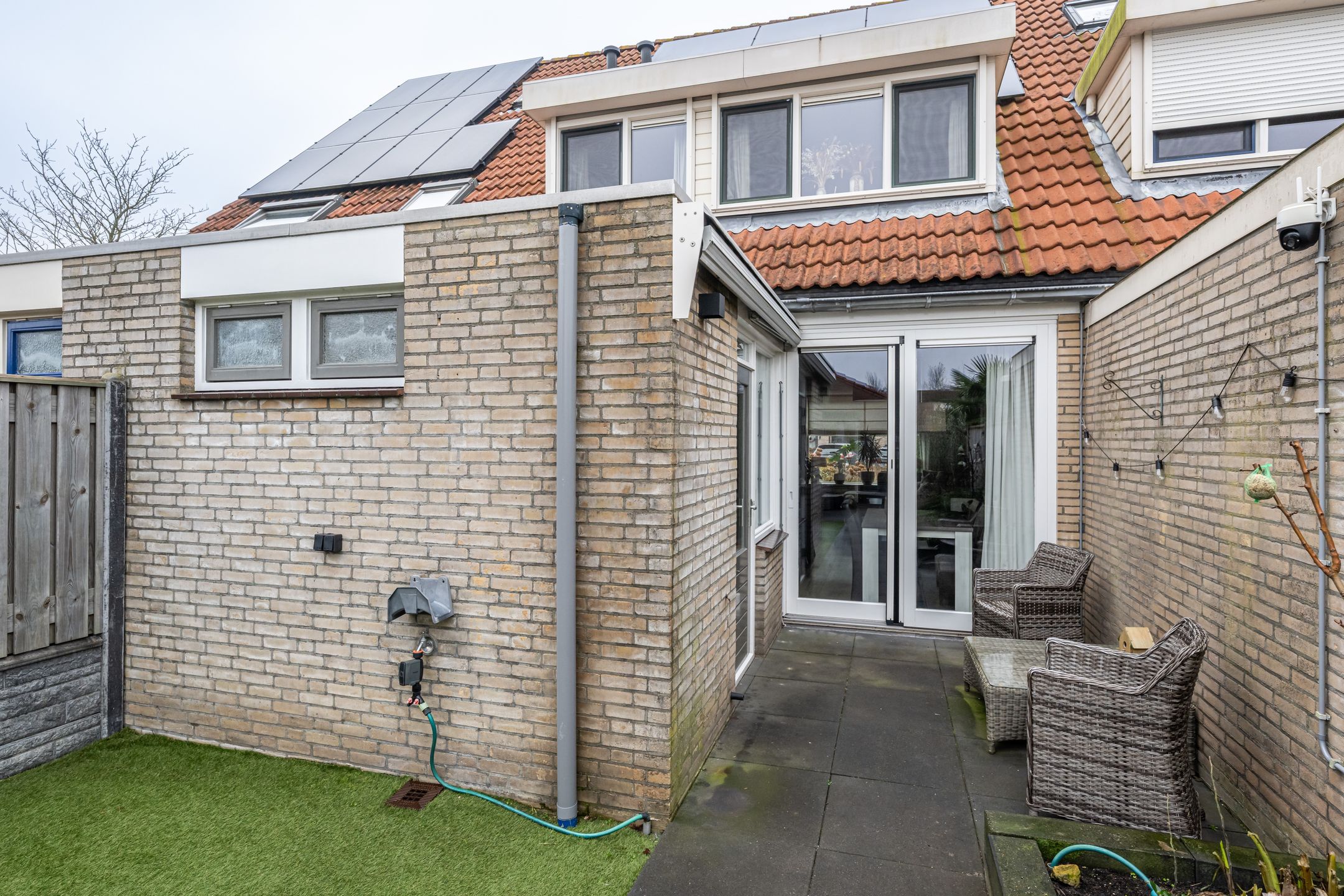 Foto 27 van Gerbera 4