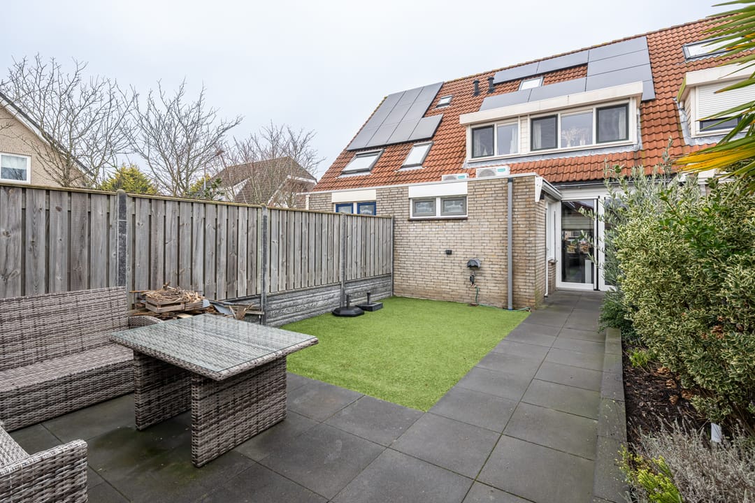 Foto 28 van Gerbera 4