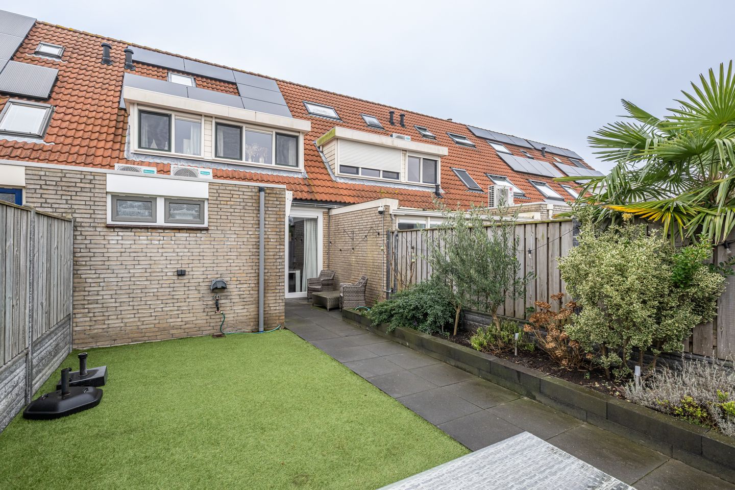 Foto 29 van Gerbera 4