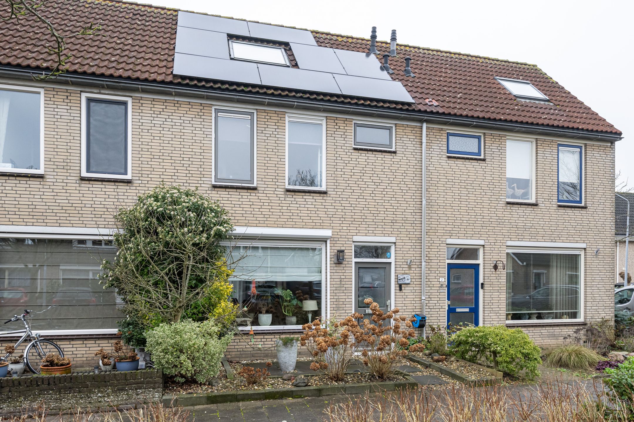 Foto 30 van Gerbera 4