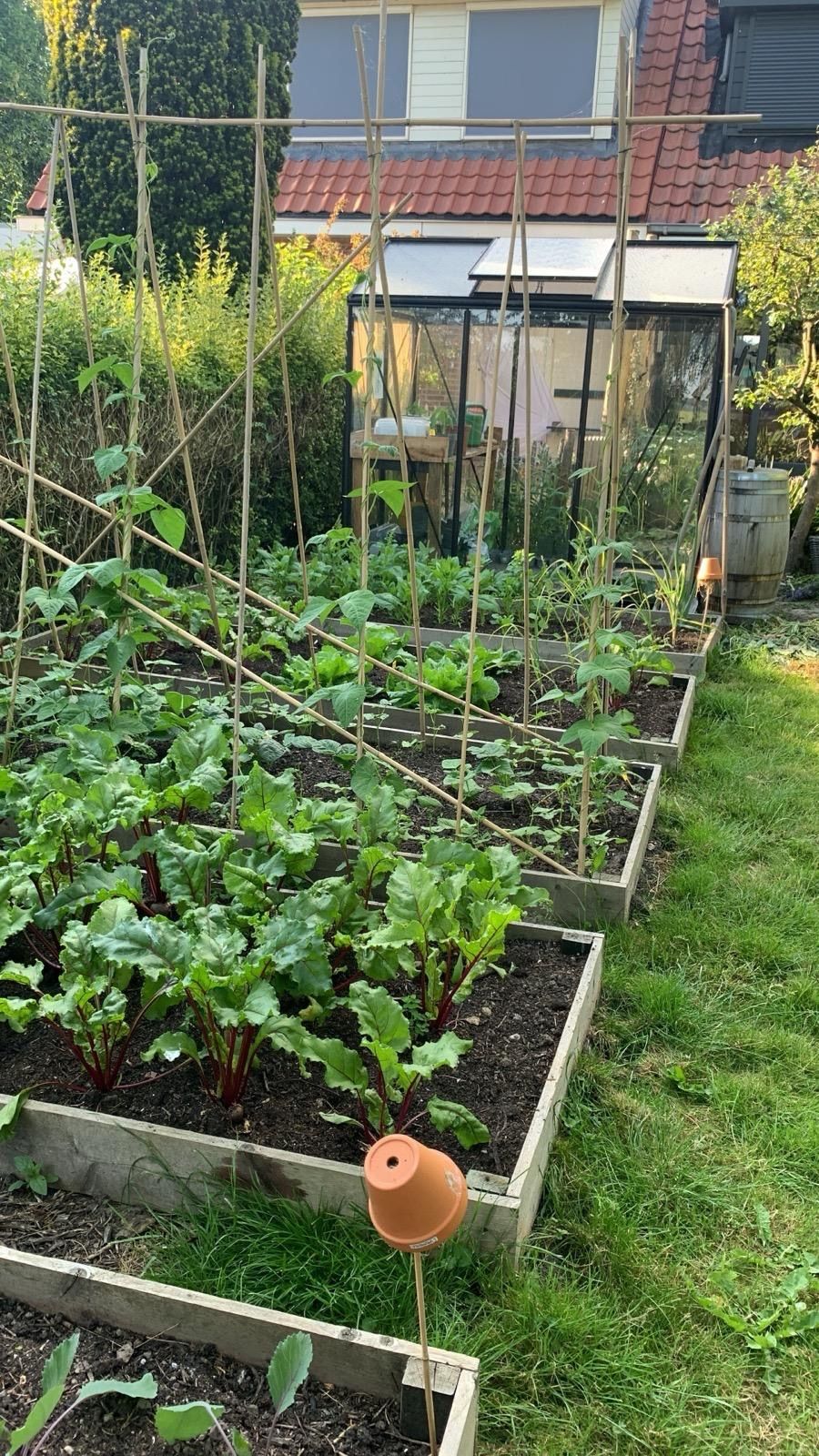 Foto 56 van Espelerweg 38-B