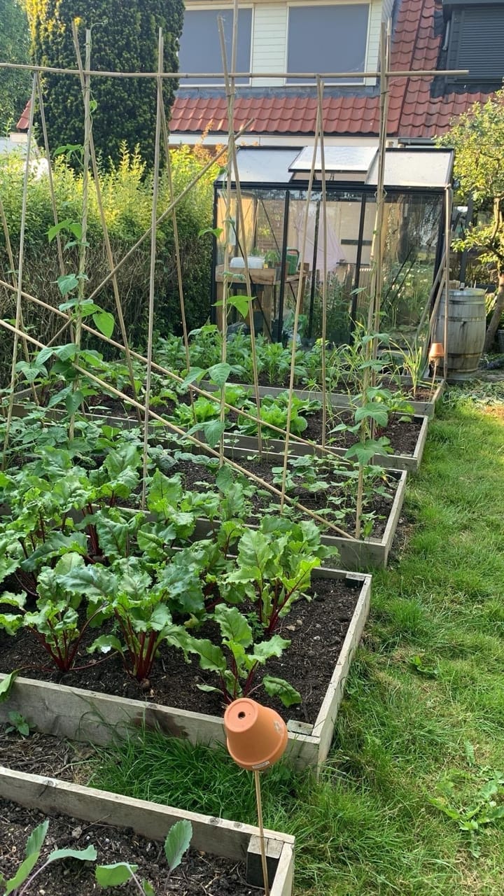 Foto 56 van Espelerweg 38-B