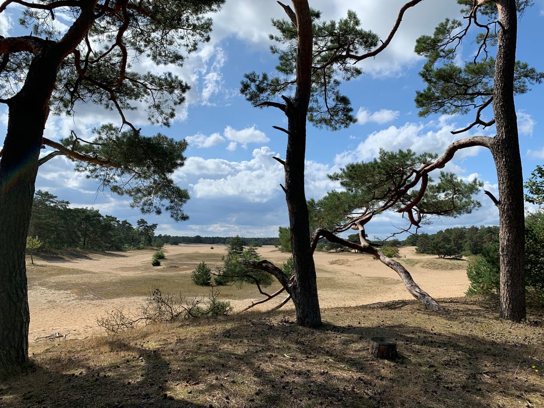 Foto 23 van Verlengde Haerderweg 5-H9