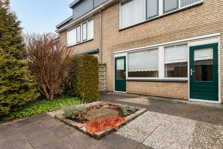 Foto 4 van Kameleonring 13