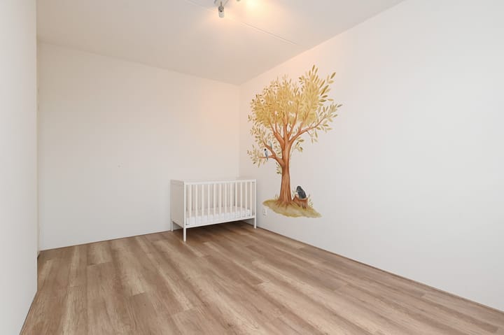 Foto 29 van Mien Ruysstraat 31