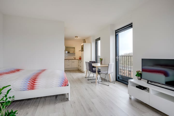 Foto 14 van Ina Boudier-Bakkerlaan 38