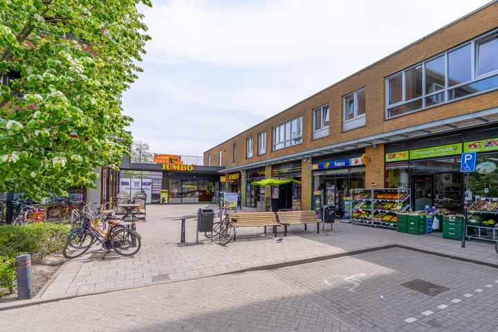 Foto 28 van Ina Boudier-Bakkerlaan 38