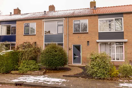 Begoniastraat thumbnail