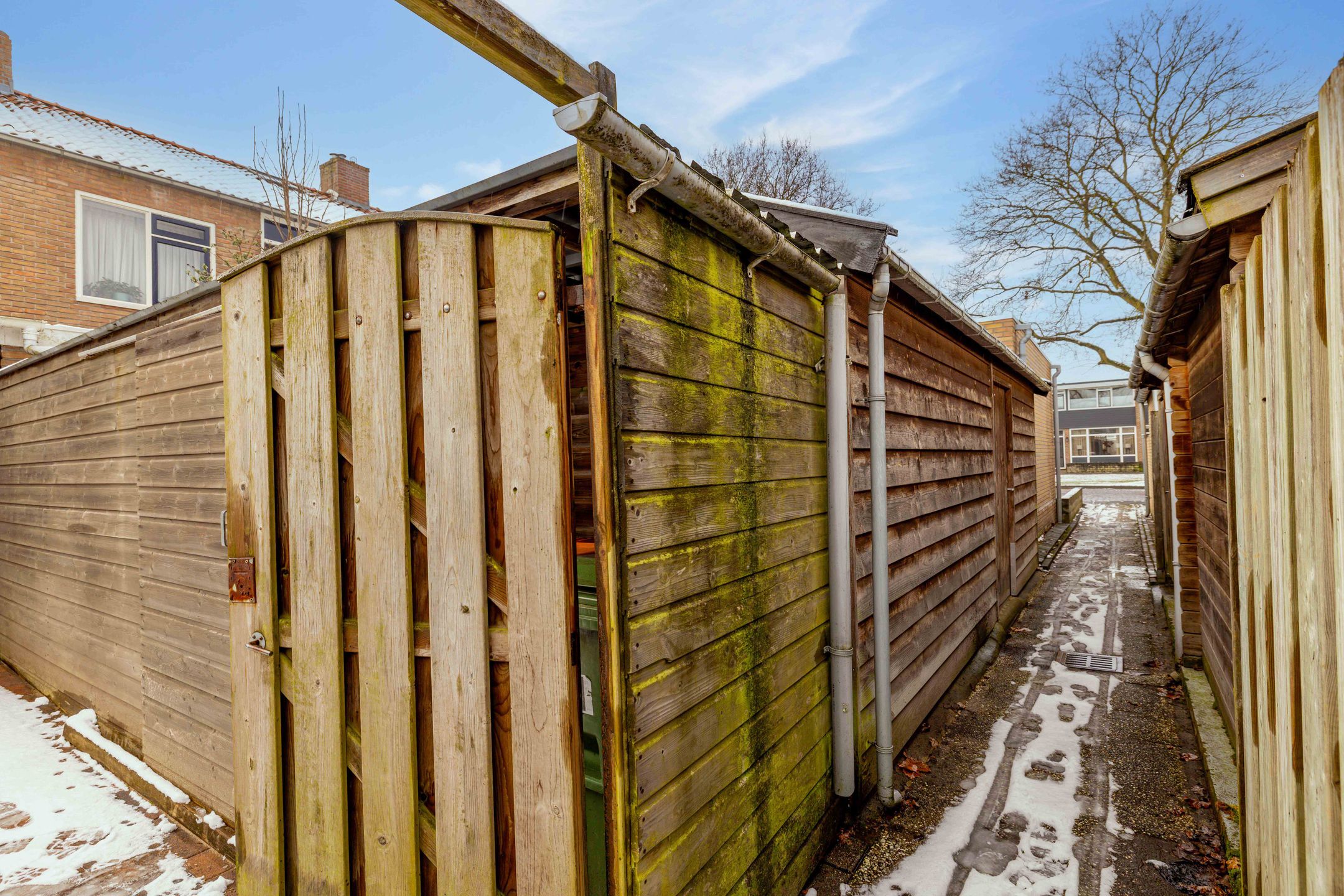 Foto 51 van Begoniastraat 61