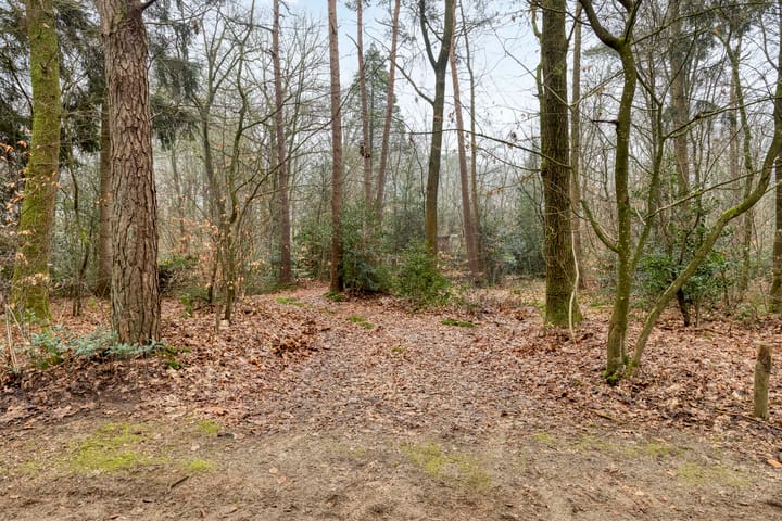 Foto 5 van Pollenseweg 16