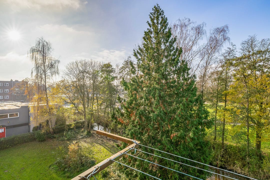 Foto 22 van Willem de Rijkelaan 20