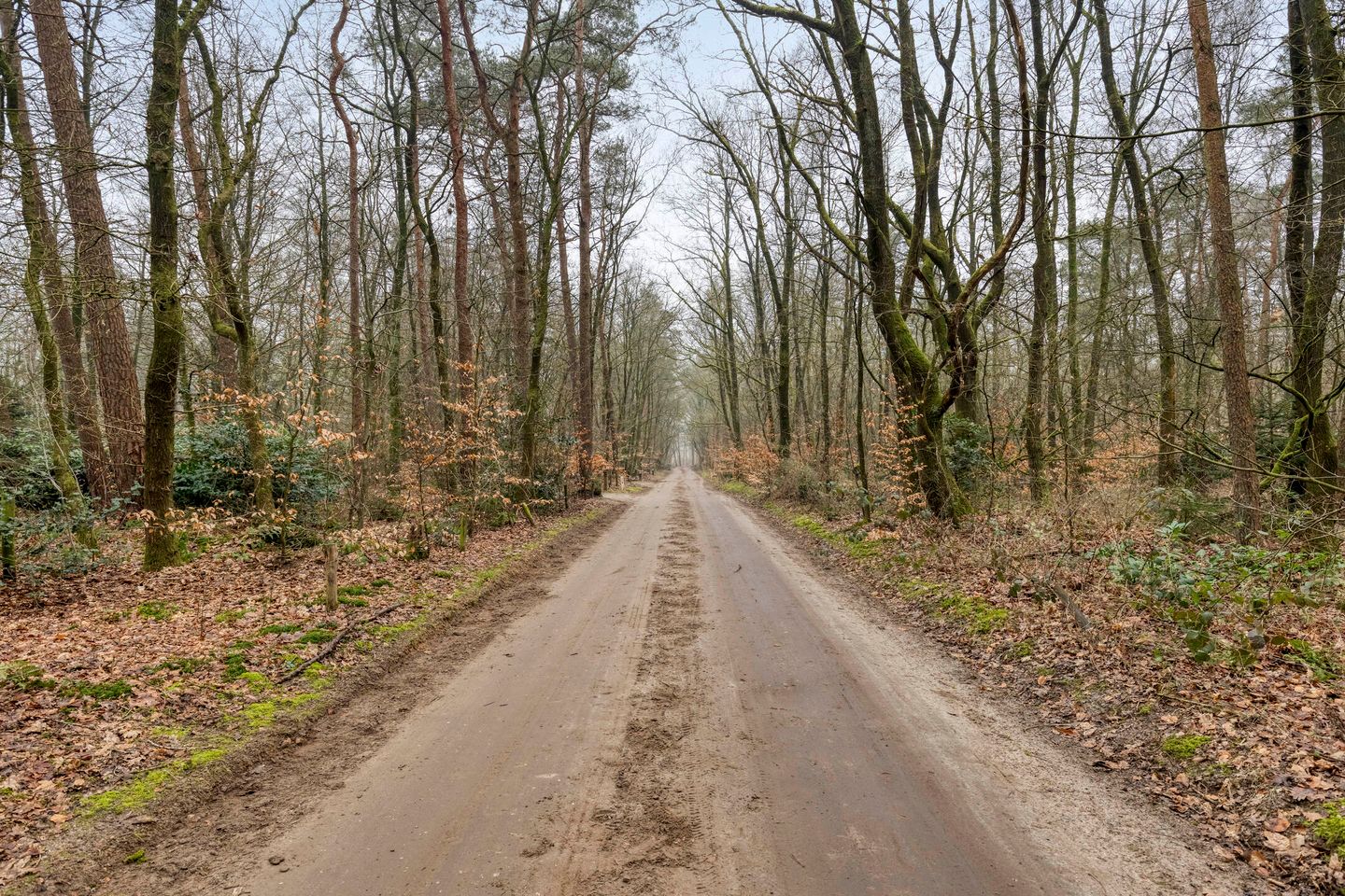Foto 4 van Pollenseweg 16