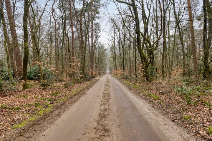 Foto 4 van Pollenseweg 16