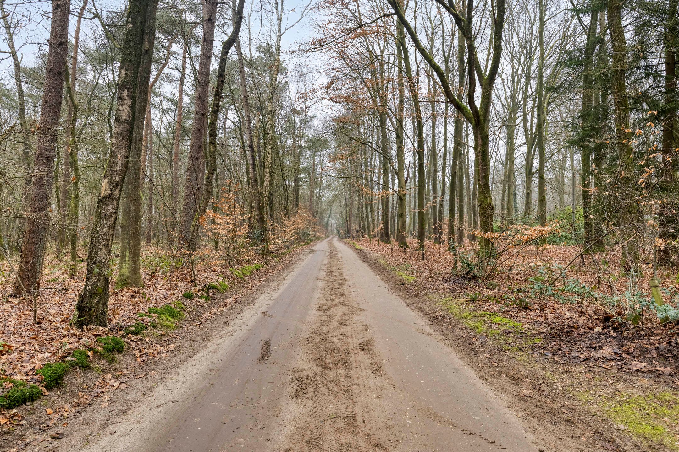 Foto 21 van Pollenseweg 16