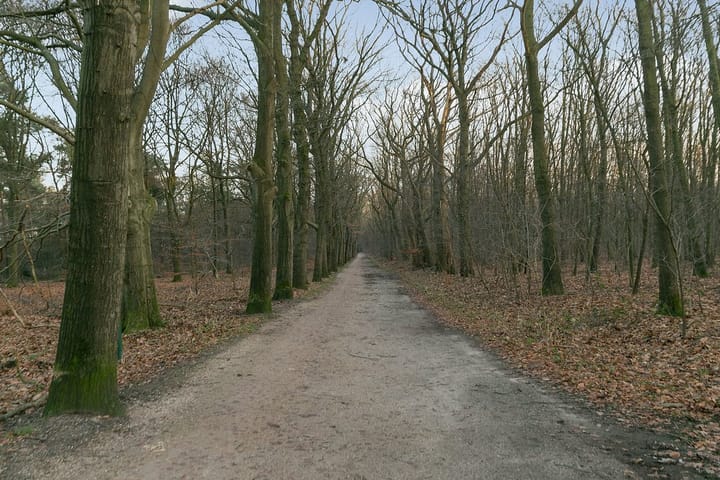 Photo 34 of Verlengde Slotlaan 116