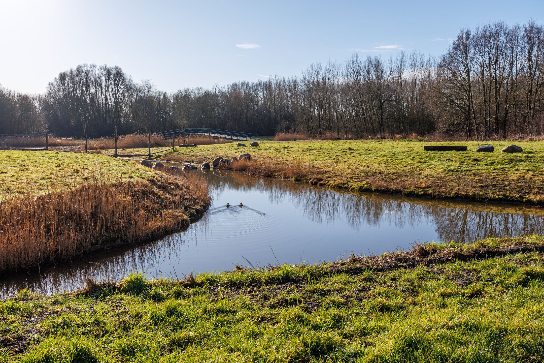 Foto 39 van Leeuweriklaan 14