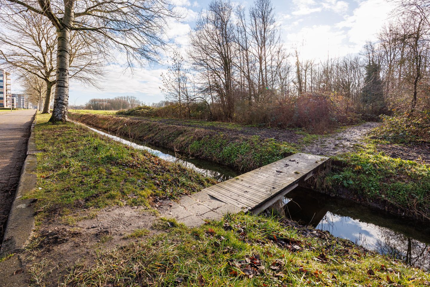 Foto 40 van Leeuweriklaan 14