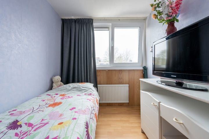 Foto 19 van Thedingecamp 3