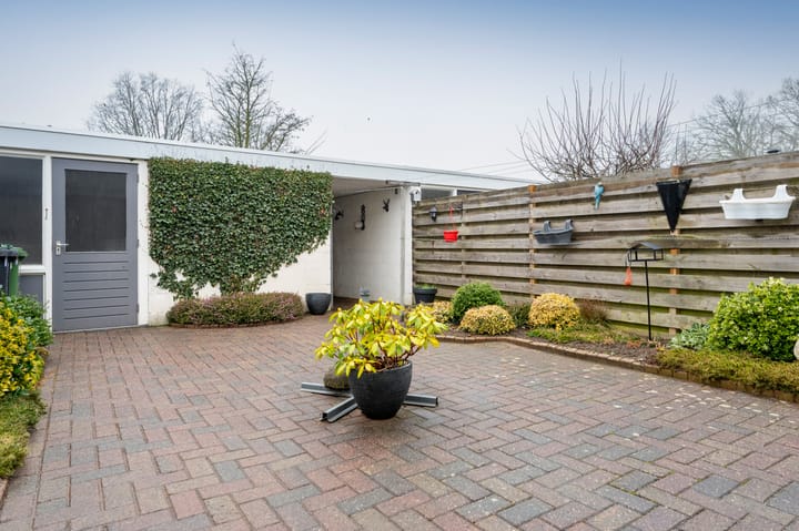 Foto 25 van Thedingecamp 3