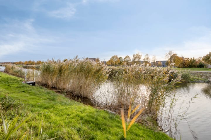 Foto 26 van Thorstraat 24