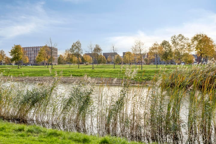 Foto 27 van Thorstraat 24