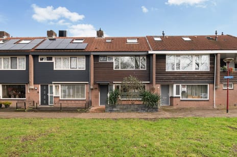 Steenbokweide thumbnail