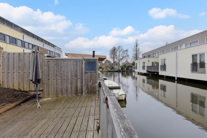 Zonnebaars 11