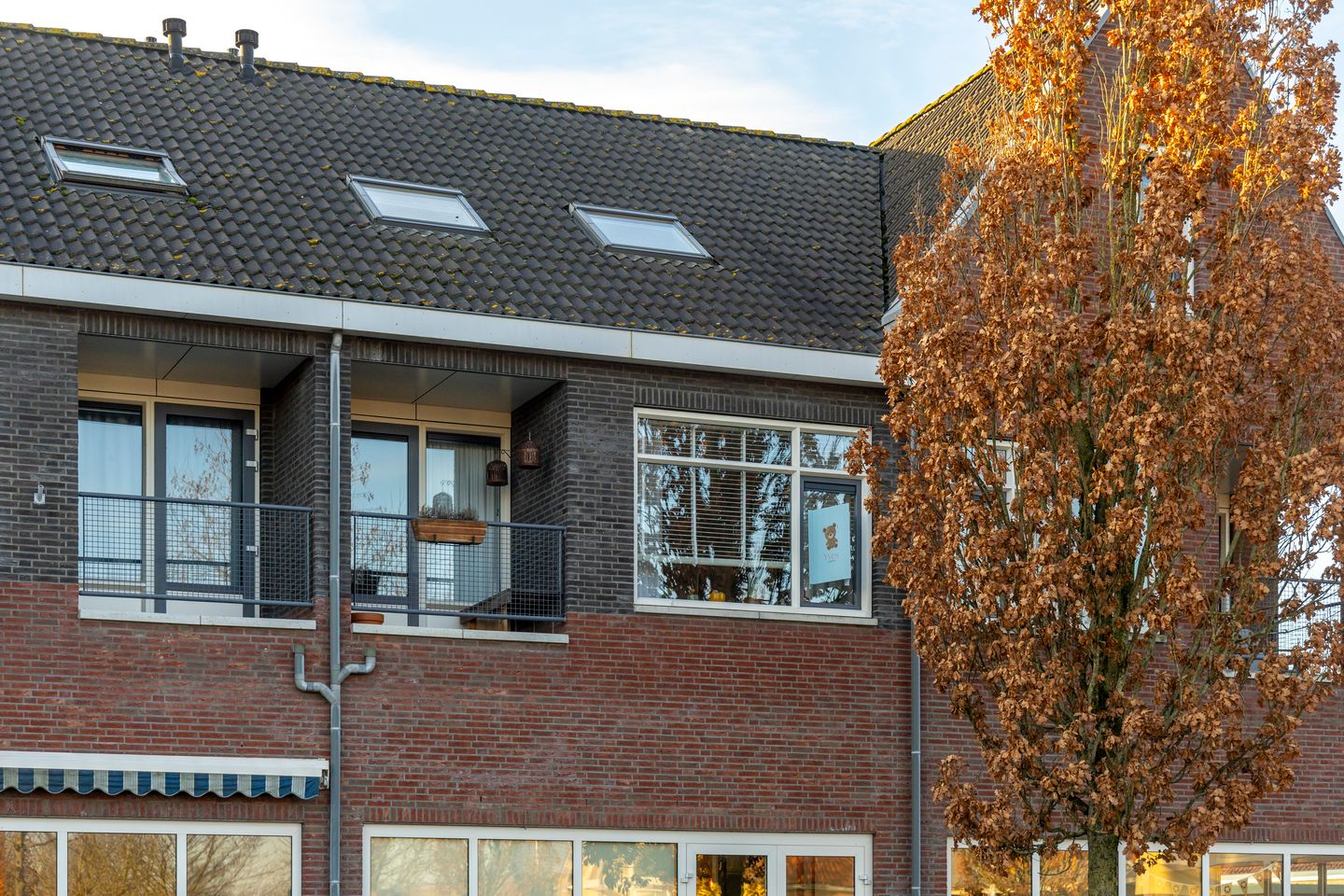 Foto 35 van Dirk IV-plein 30