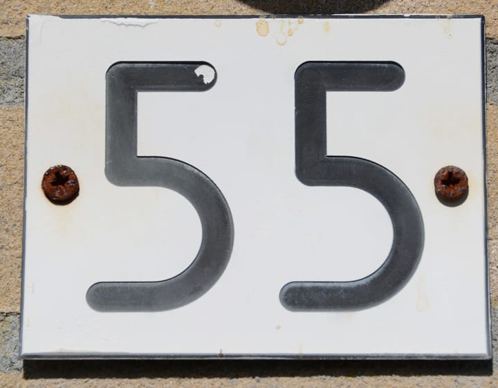 Photo 29 of Rijspolder 55