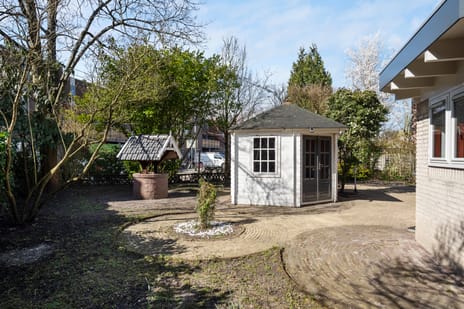 Bark 65 tertiary image