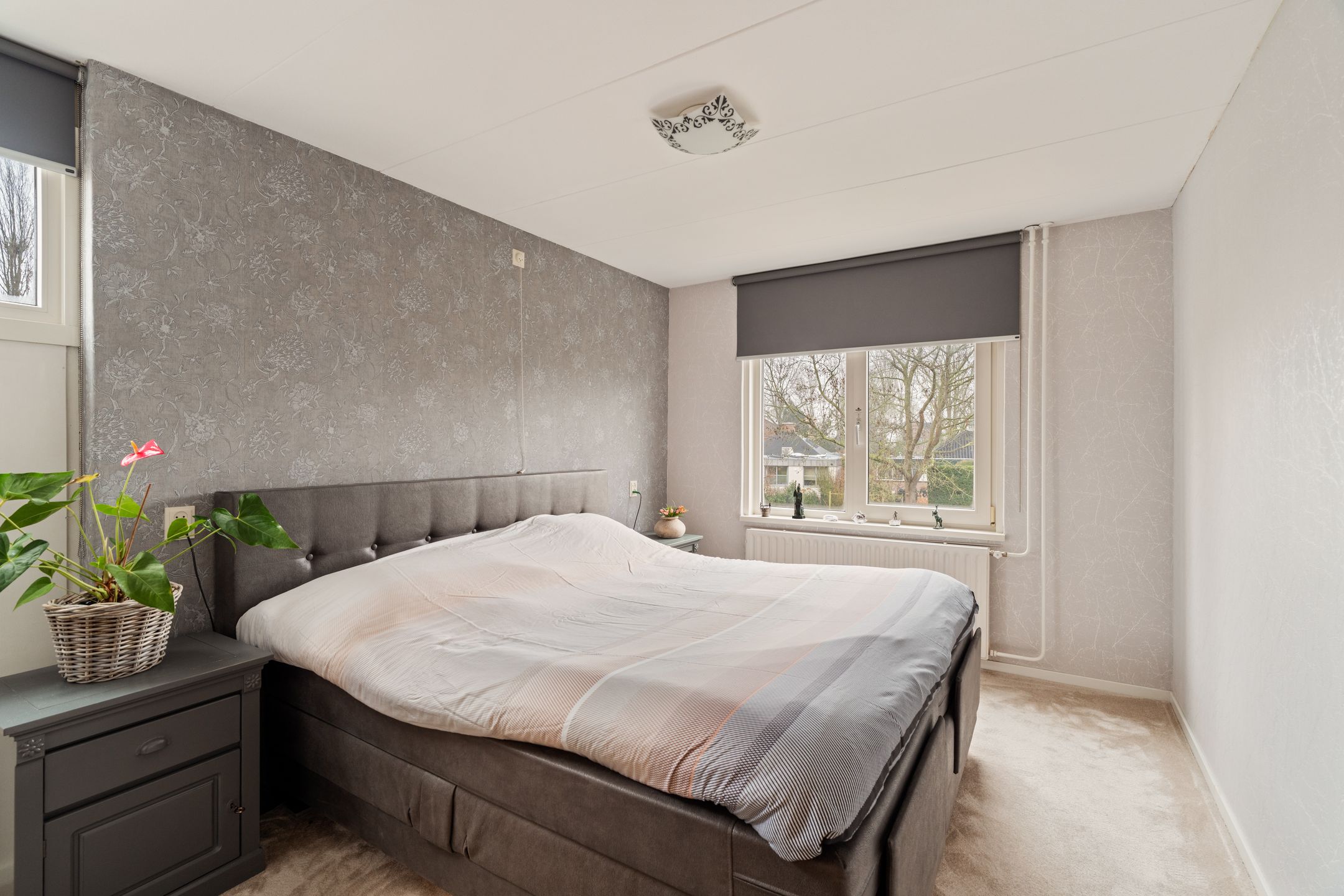 Foto 15 van Lupine 44