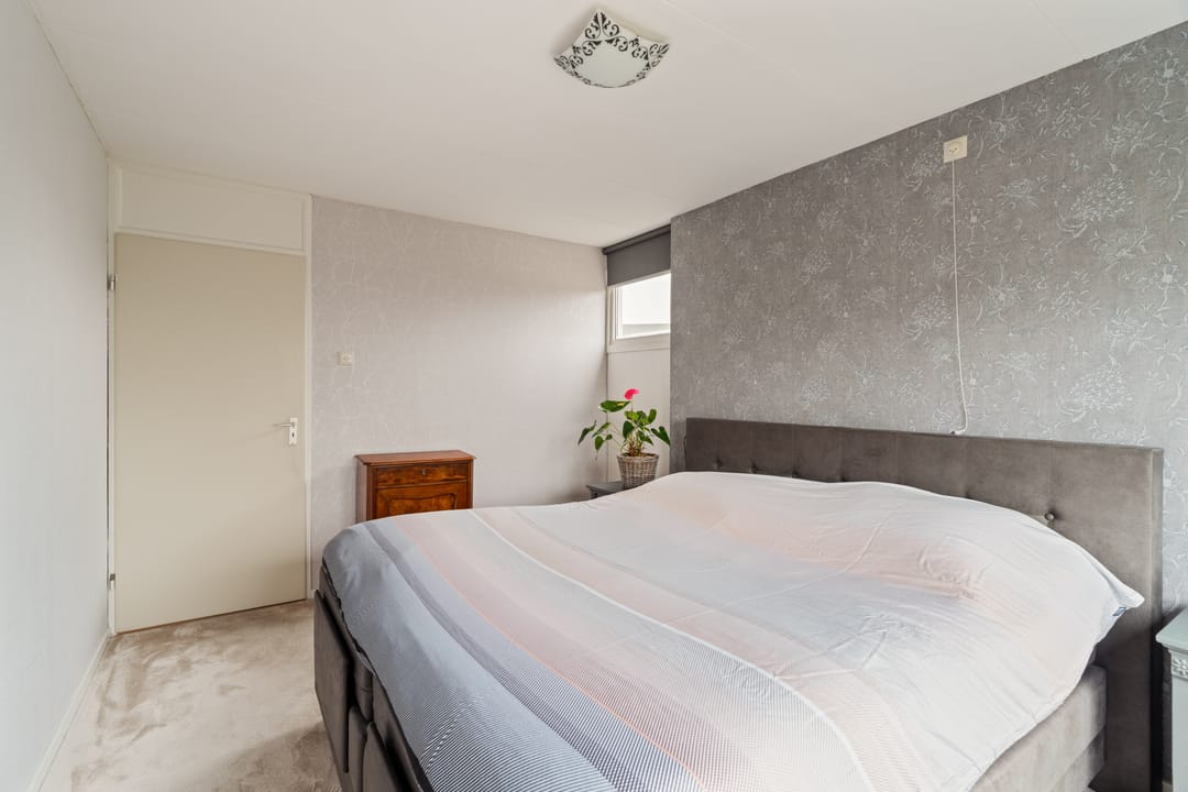 Foto 16 van Lupine 44