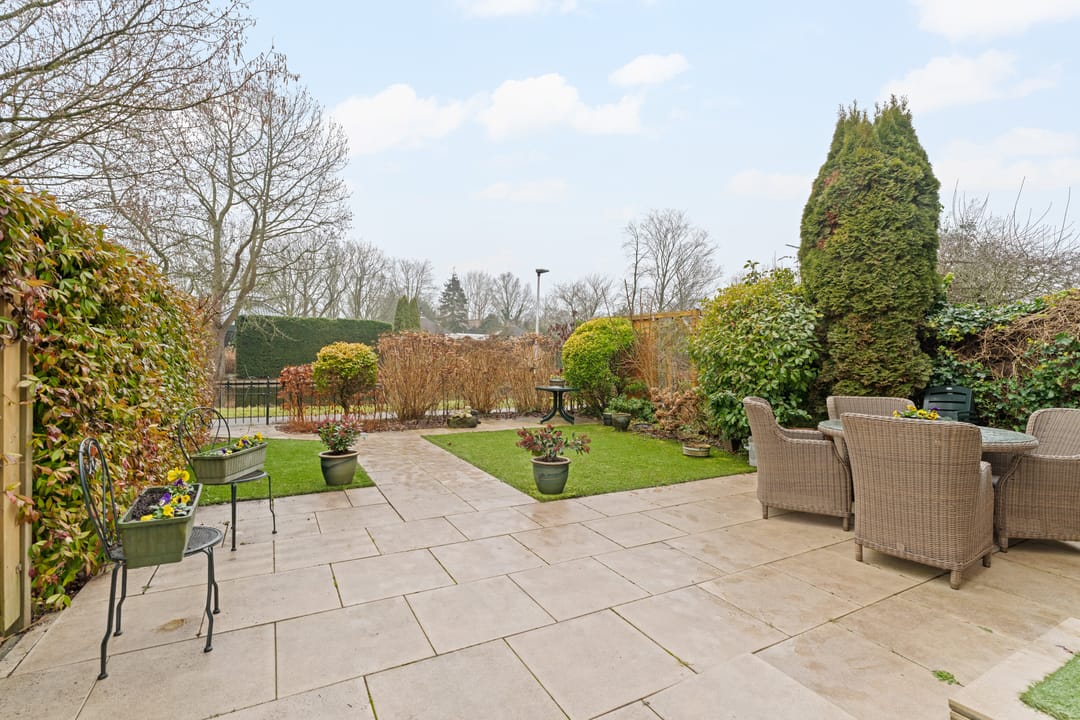 Foto 23 van Lupine 44