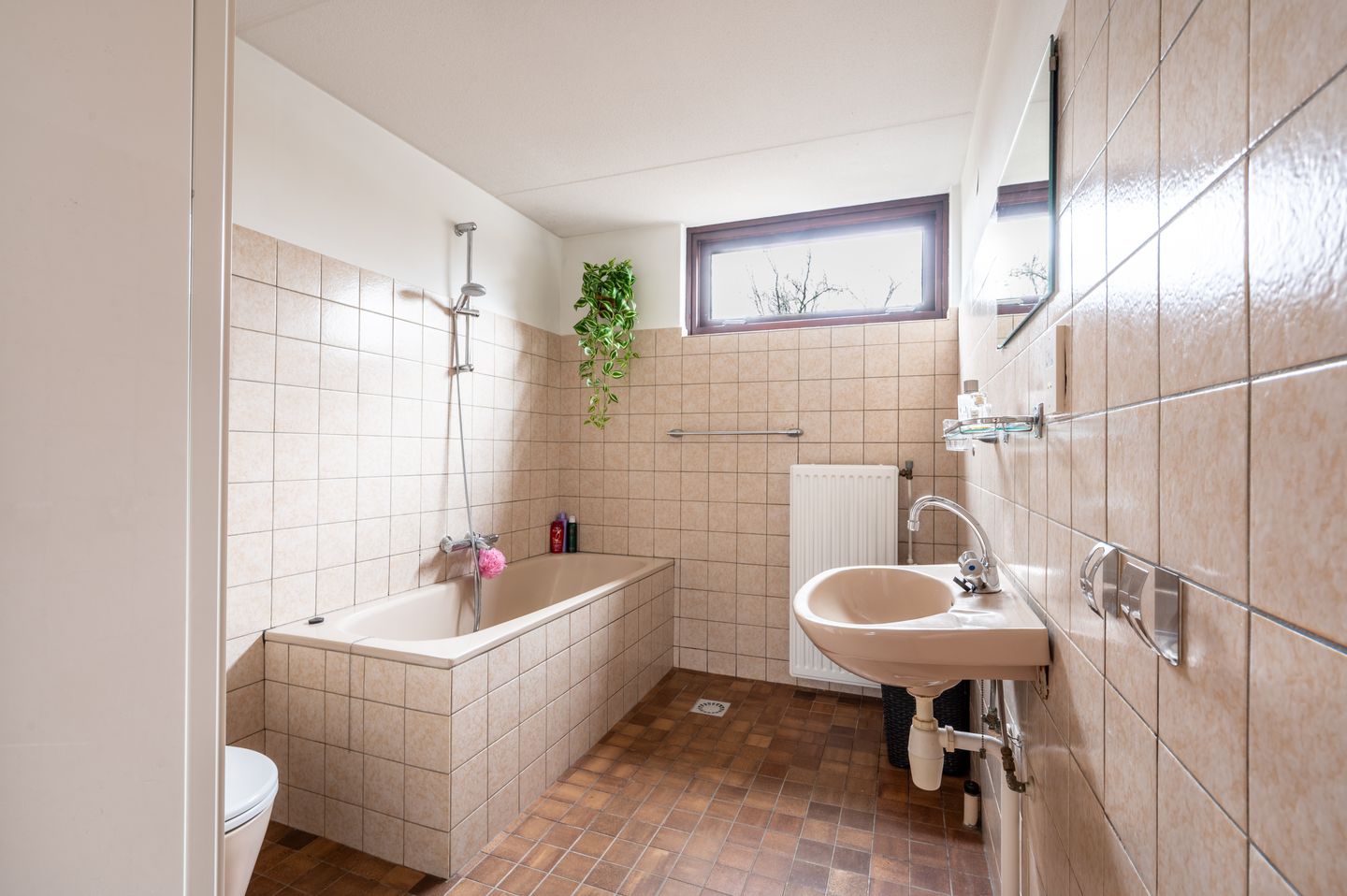 Photo 20 of Bierbrouwershorst 312