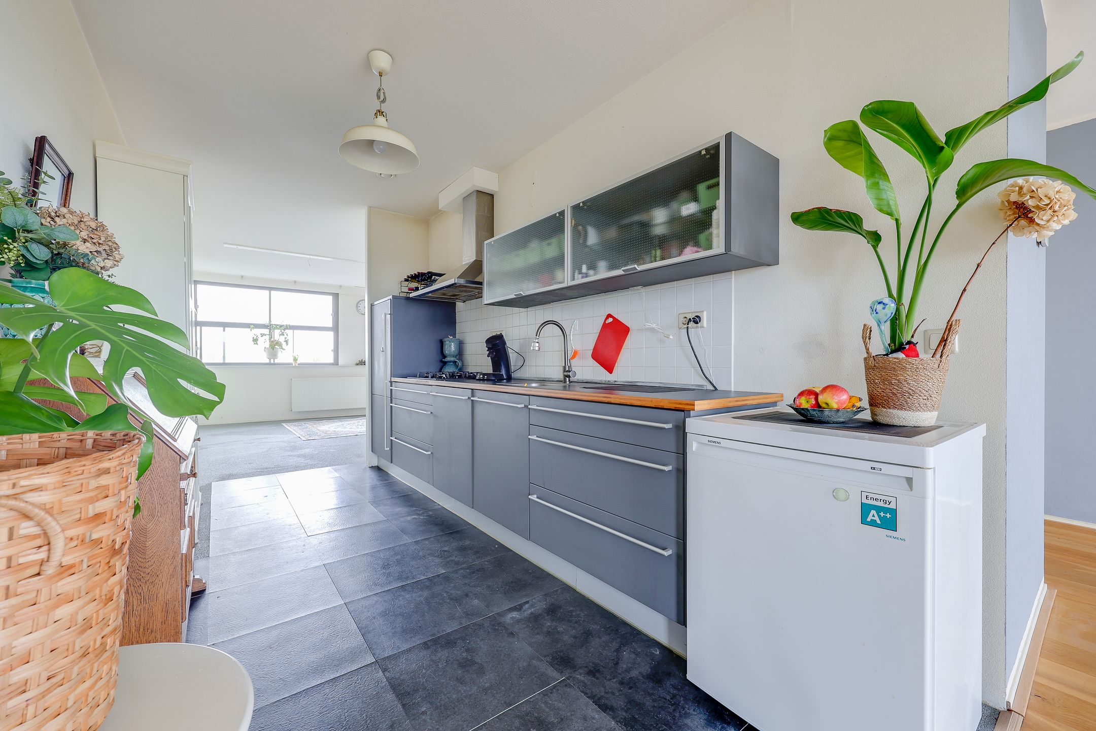 Photo 3 of Puerto Ricostraat 51