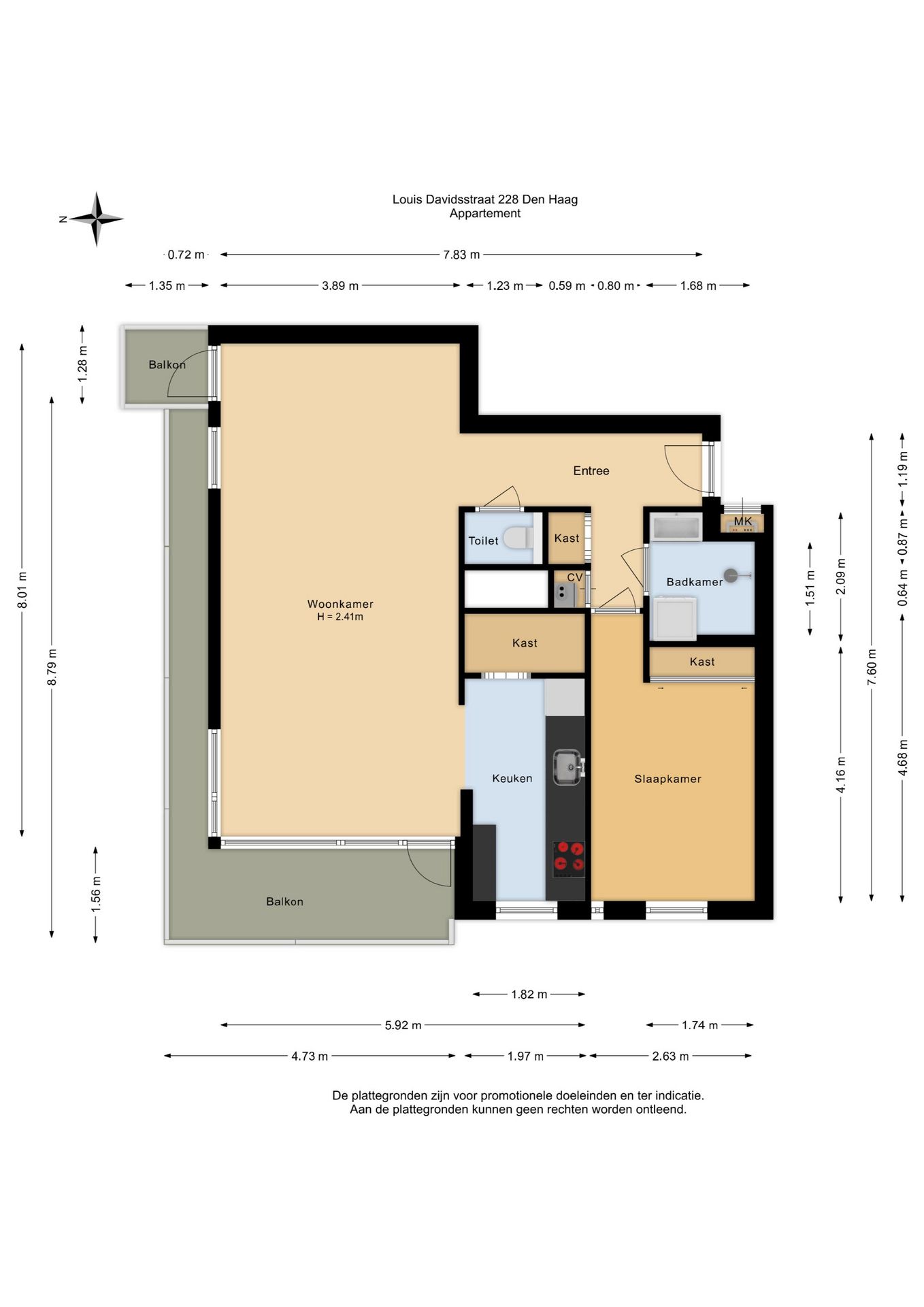 Photo 51 of Louis Davidsstraat 228