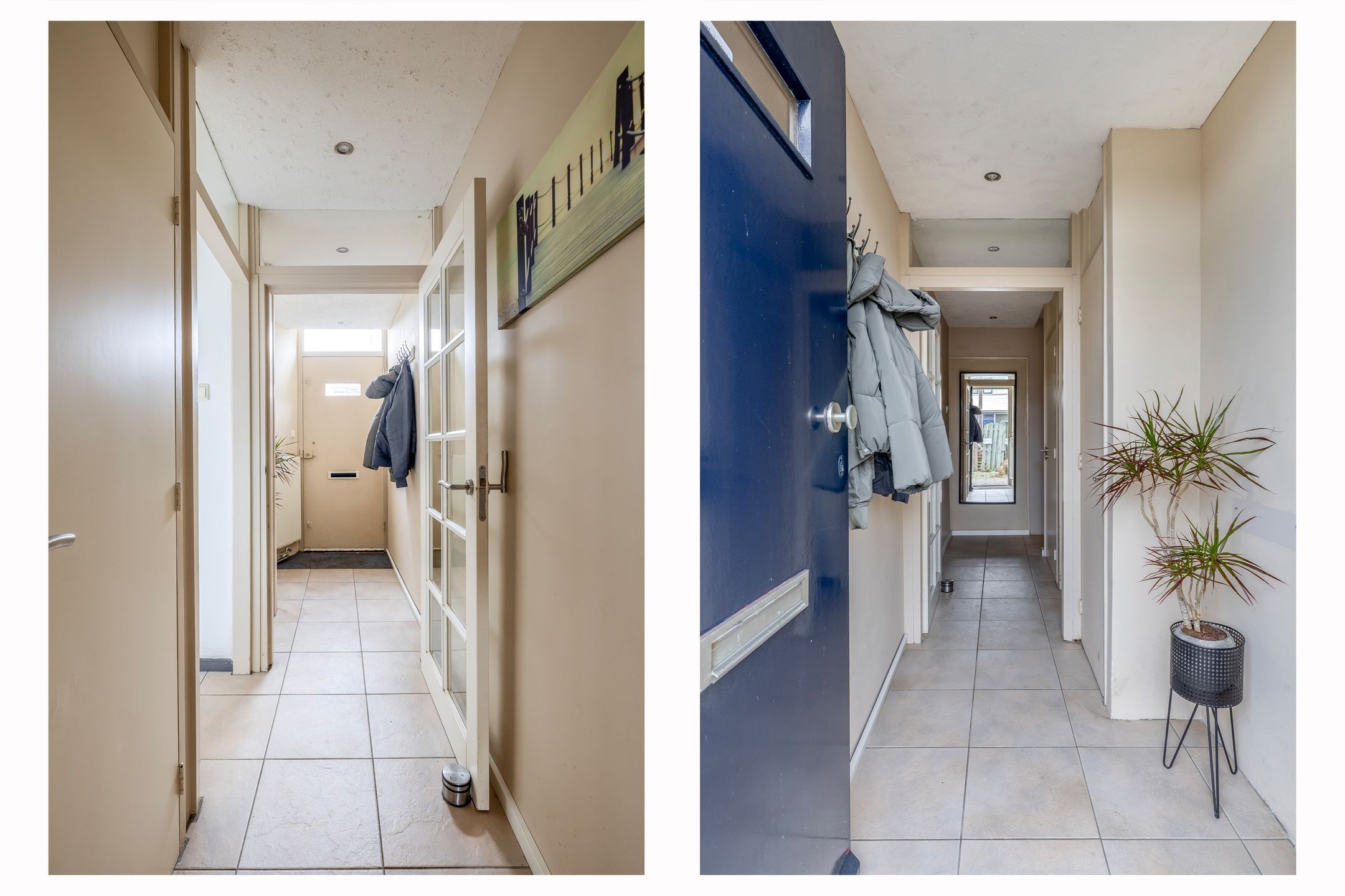 Photo 6 of Ruygeplaat 51