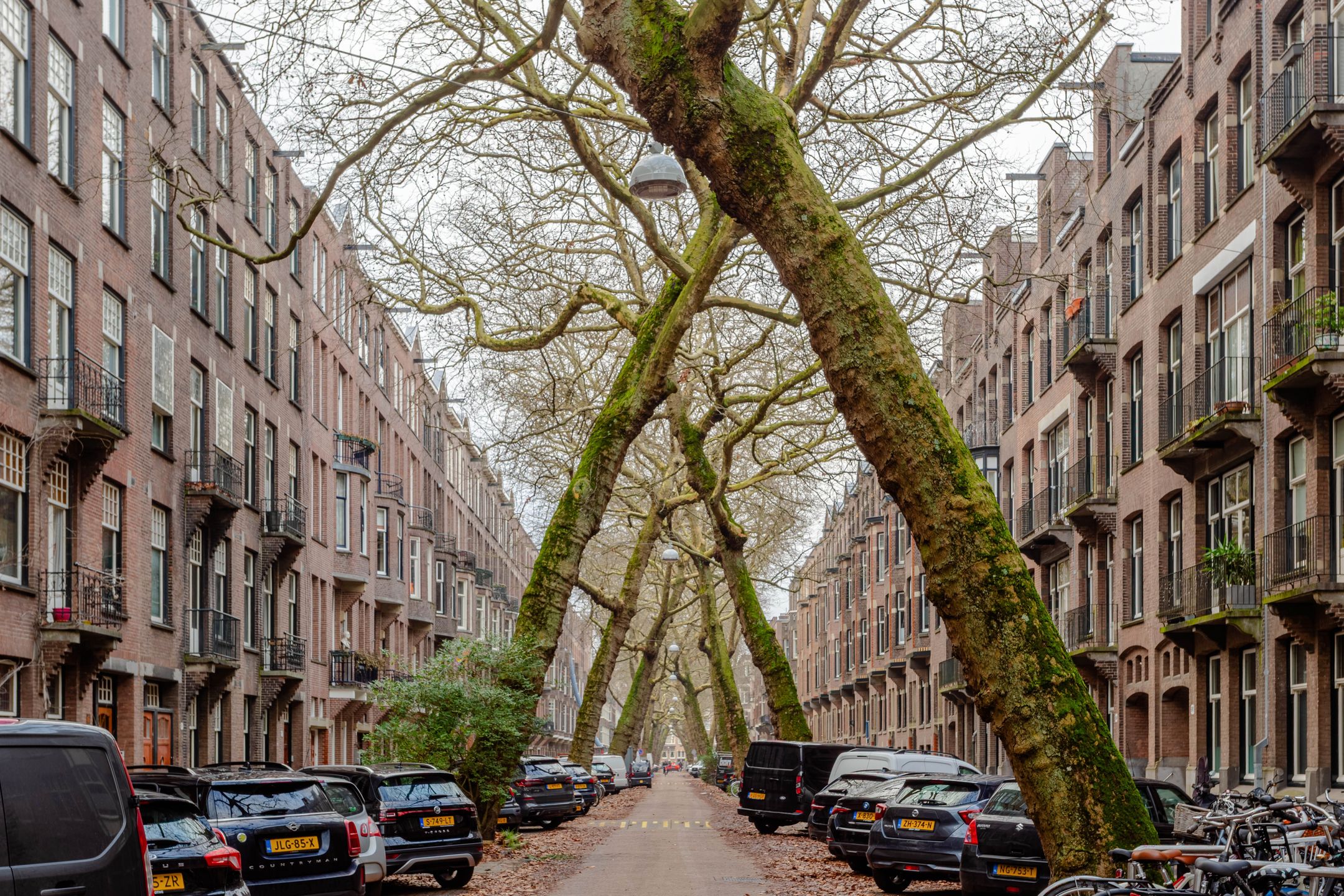 Foto 36 van Amstelveenseweg 176-2