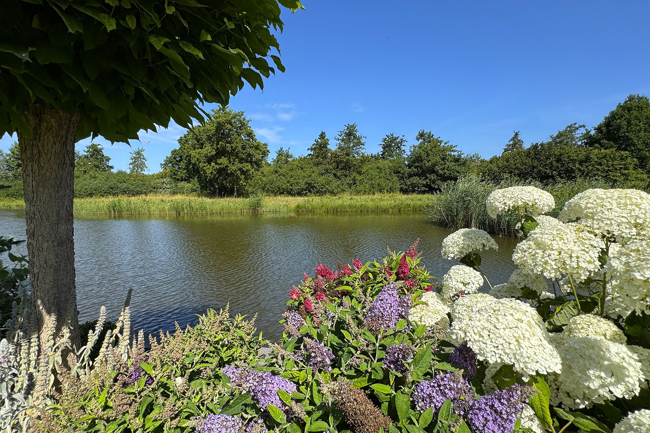 Foto 60 van Prinses Christinastraat 13