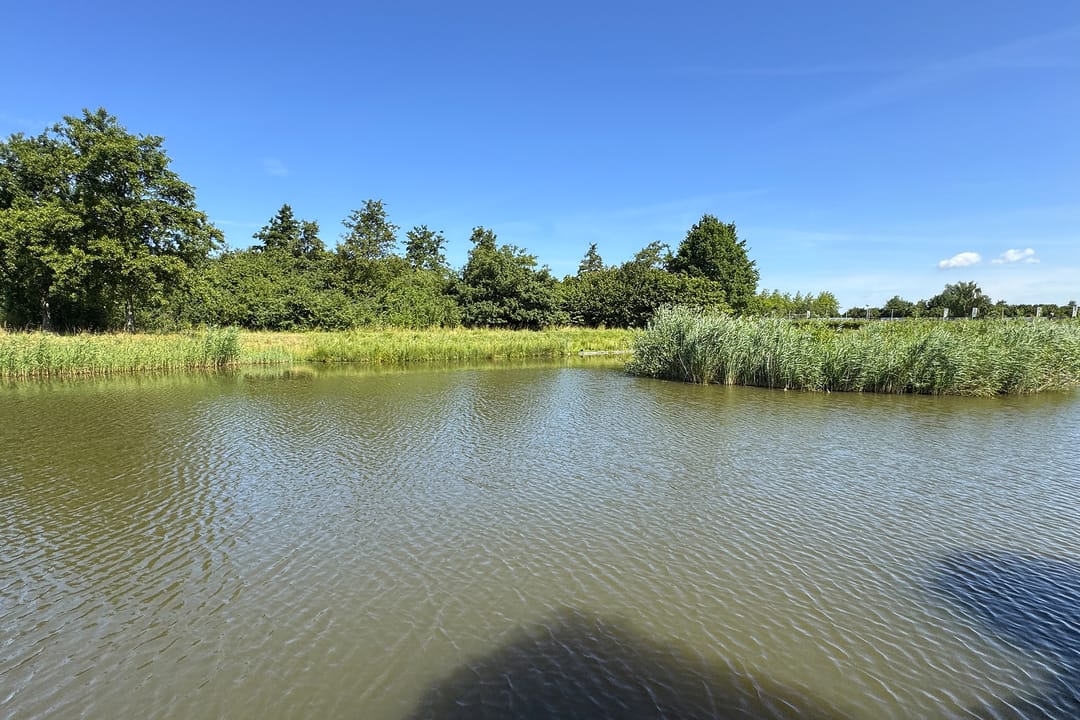 Foto 61 van Prinses Christinastraat 13