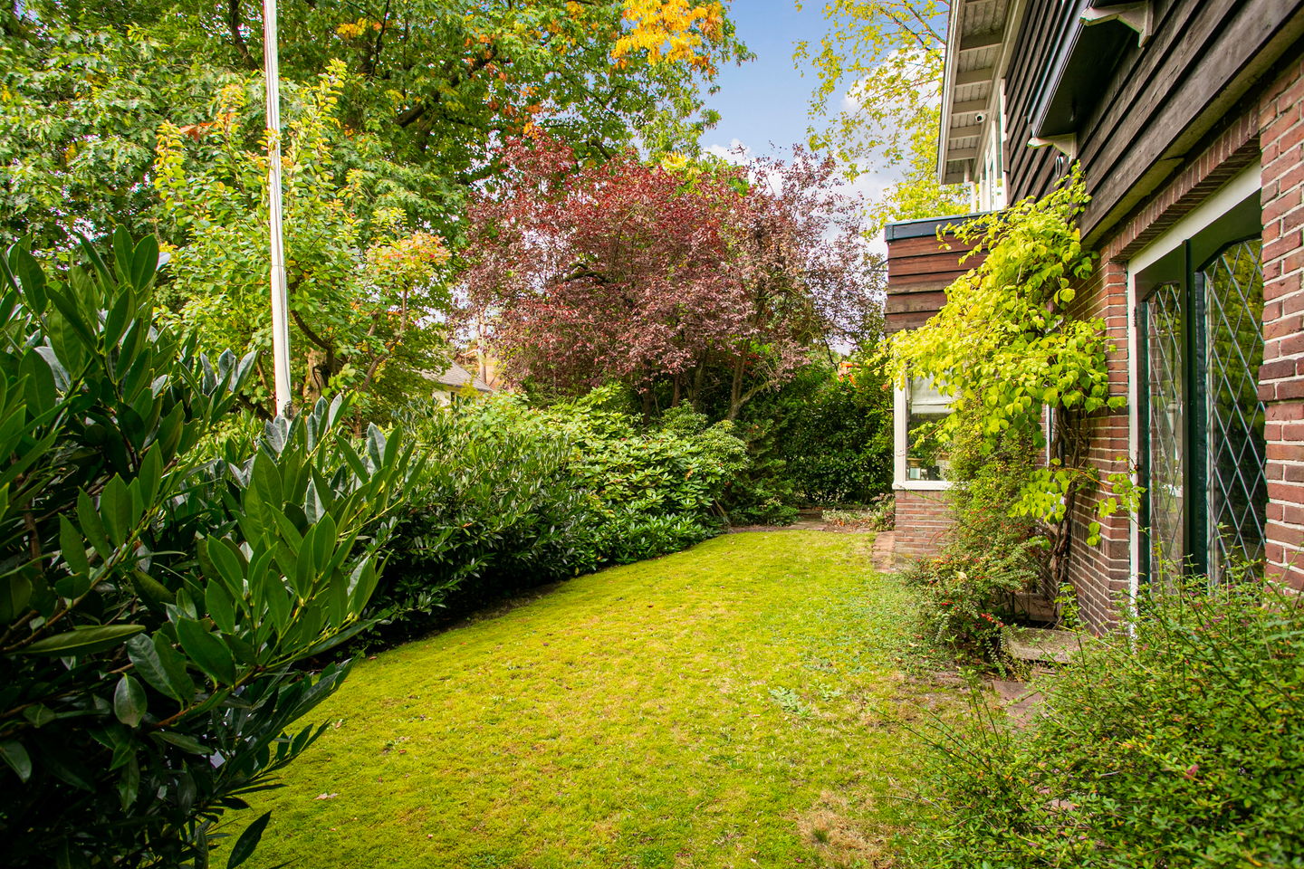 Foto 14 van Kruislaan 2