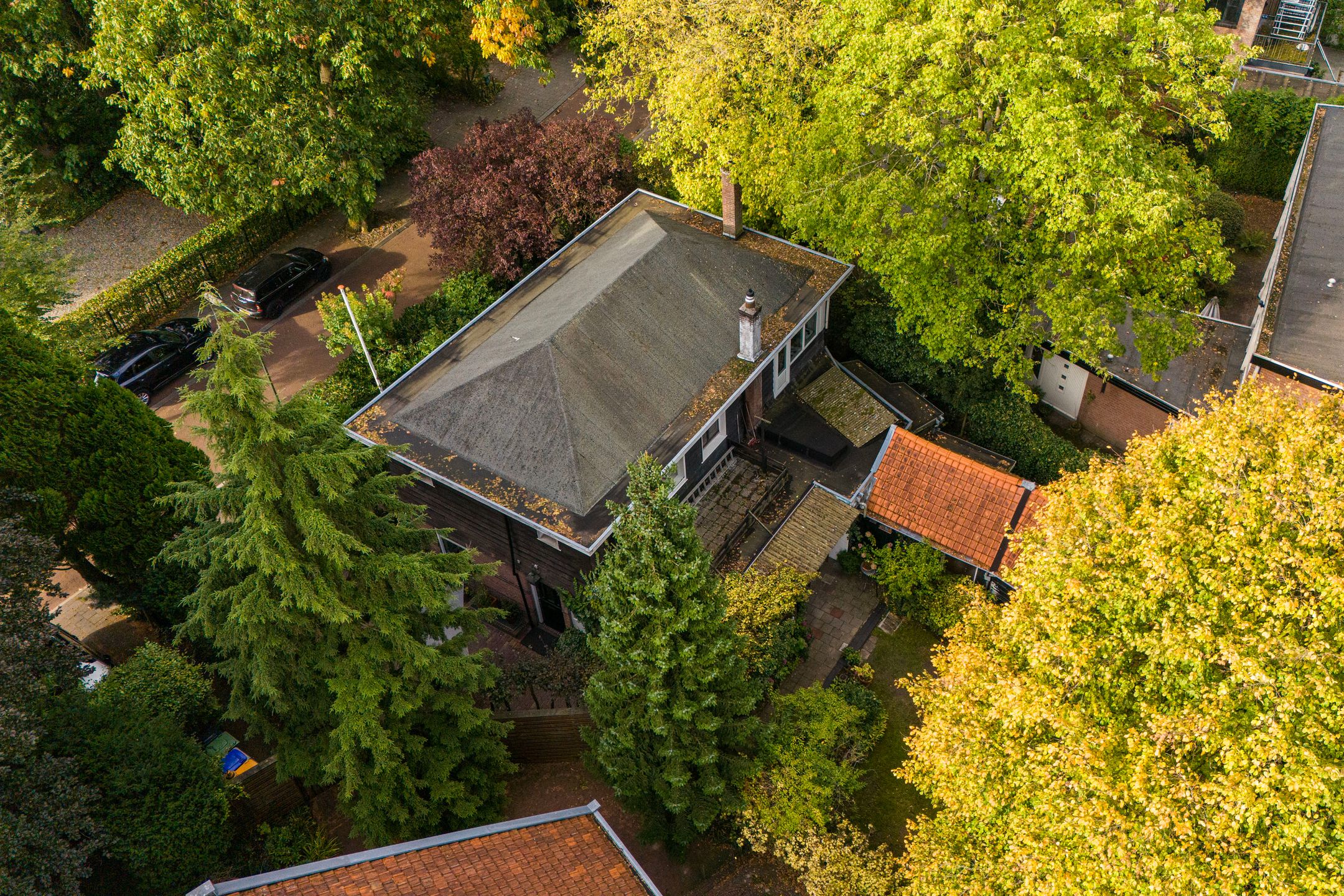 Foto 78 van Kruislaan 2