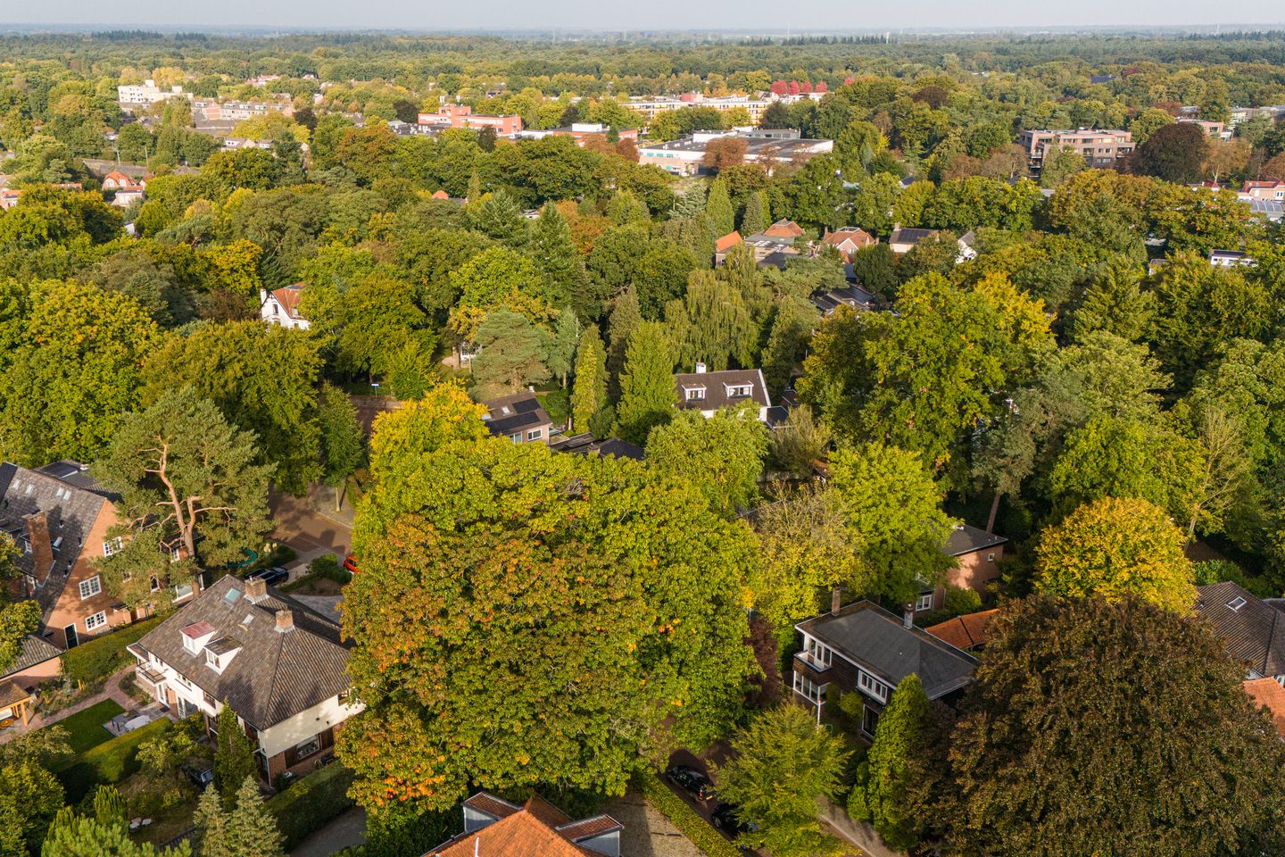 Foto 79 van Kruislaan 2