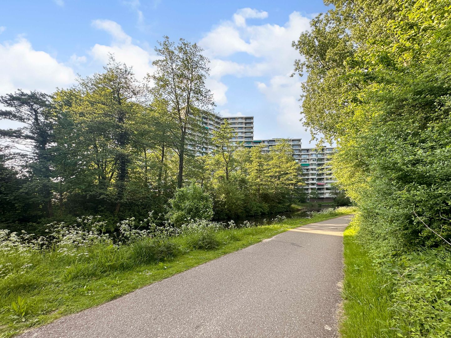 Foto 34 van Groningensingel 881