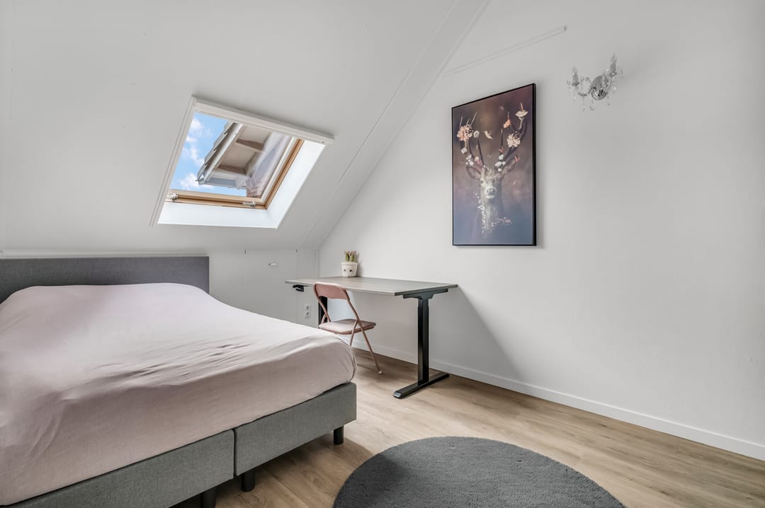 Foto 22 van Oversteek 5