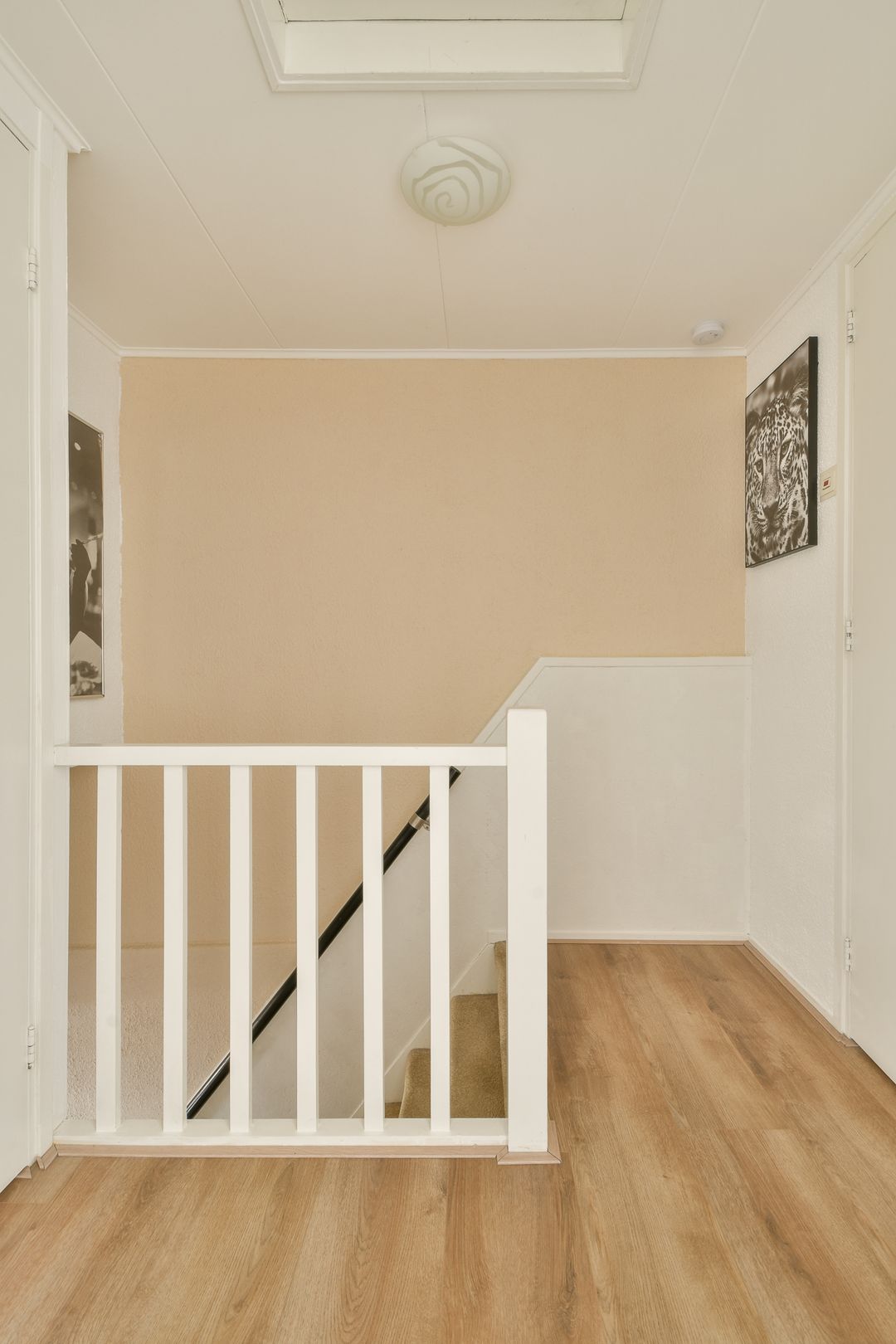 Photo 17 of Prinses Irenestraat 6