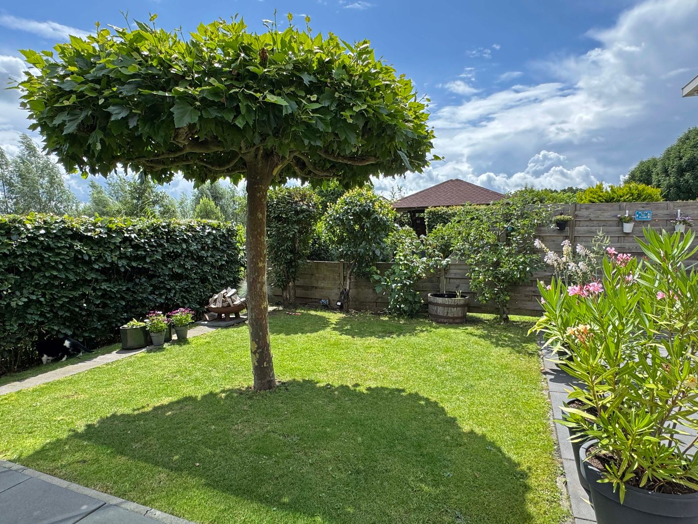 Foto 14 van Herman Schefferstraat 7