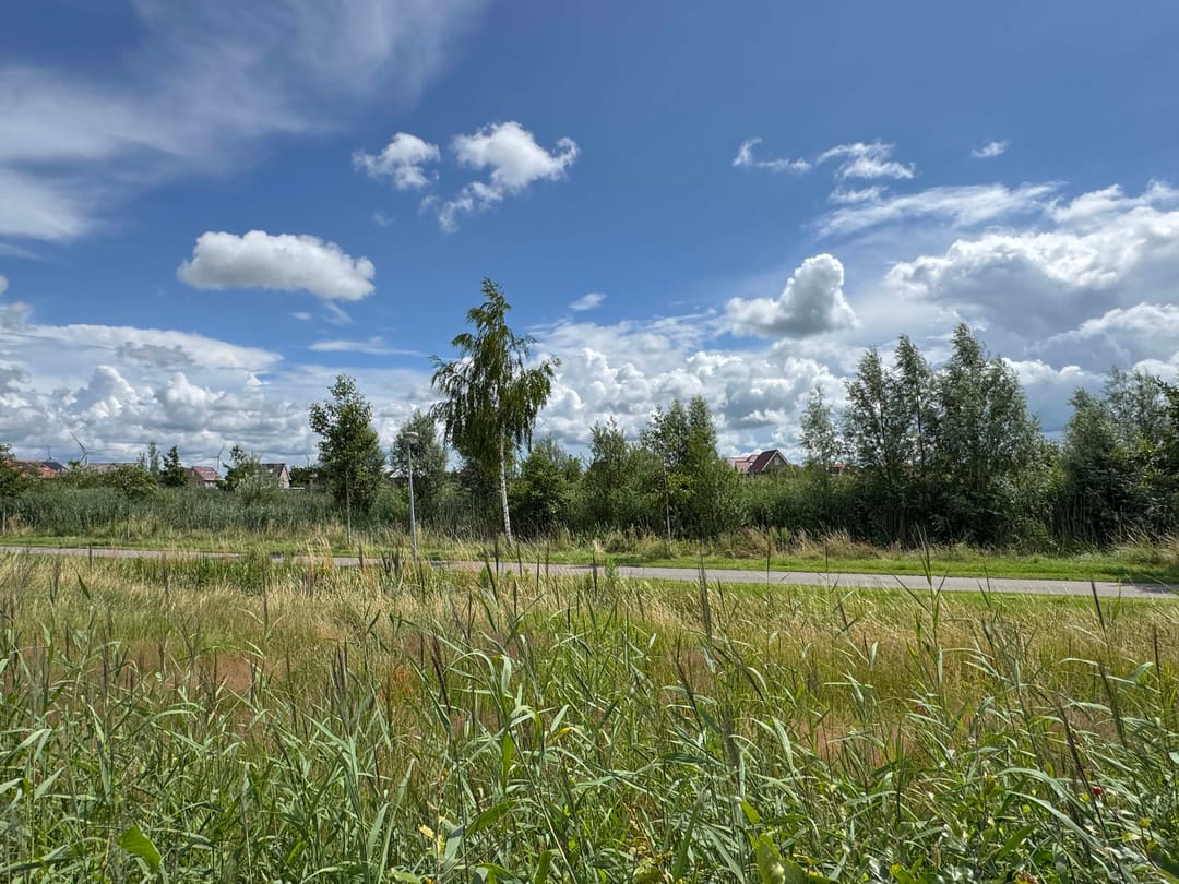 Foto 17 van Herman Schefferstraat 7