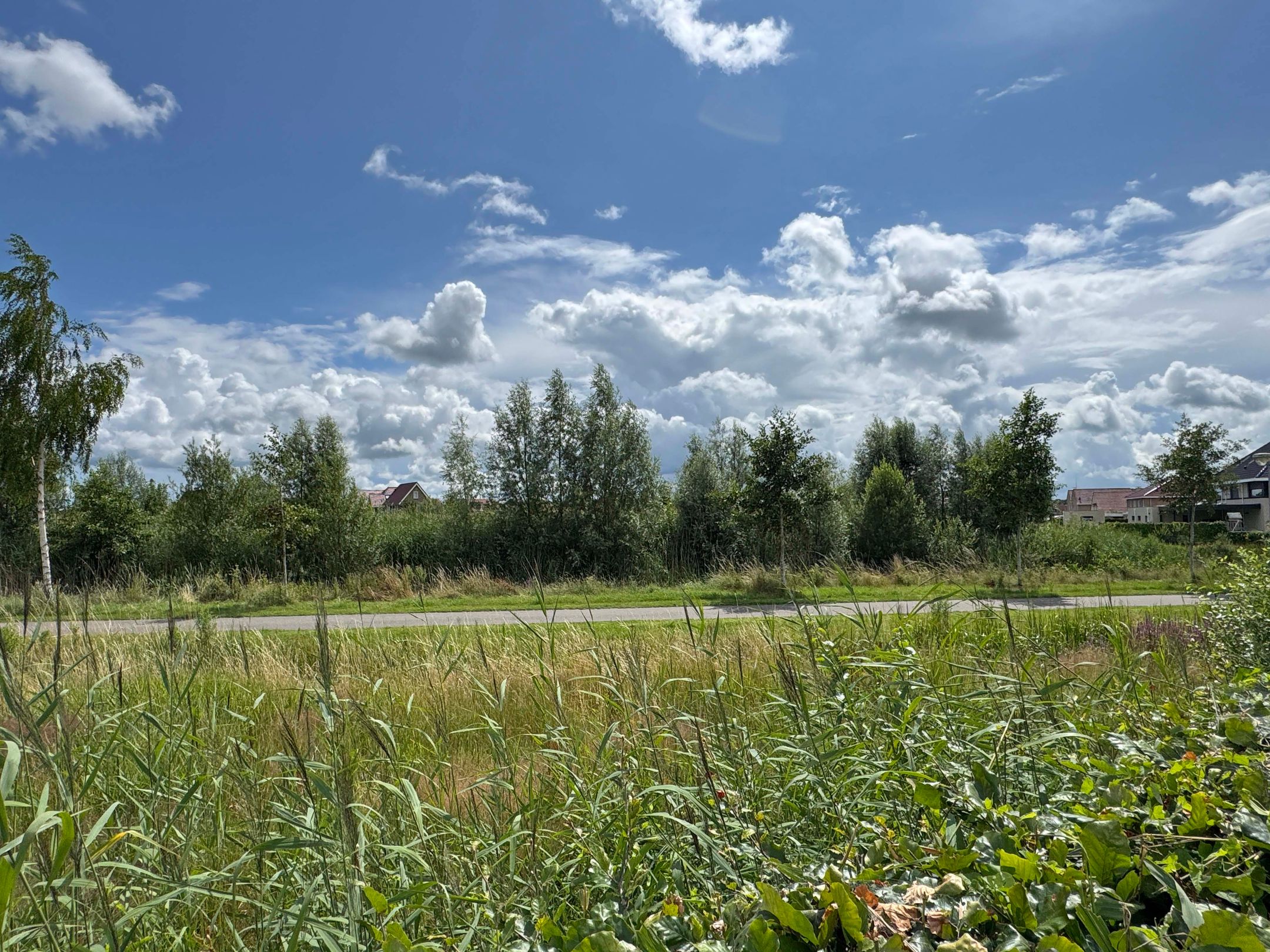 Foto 45 van Herman Schefferstraat 7