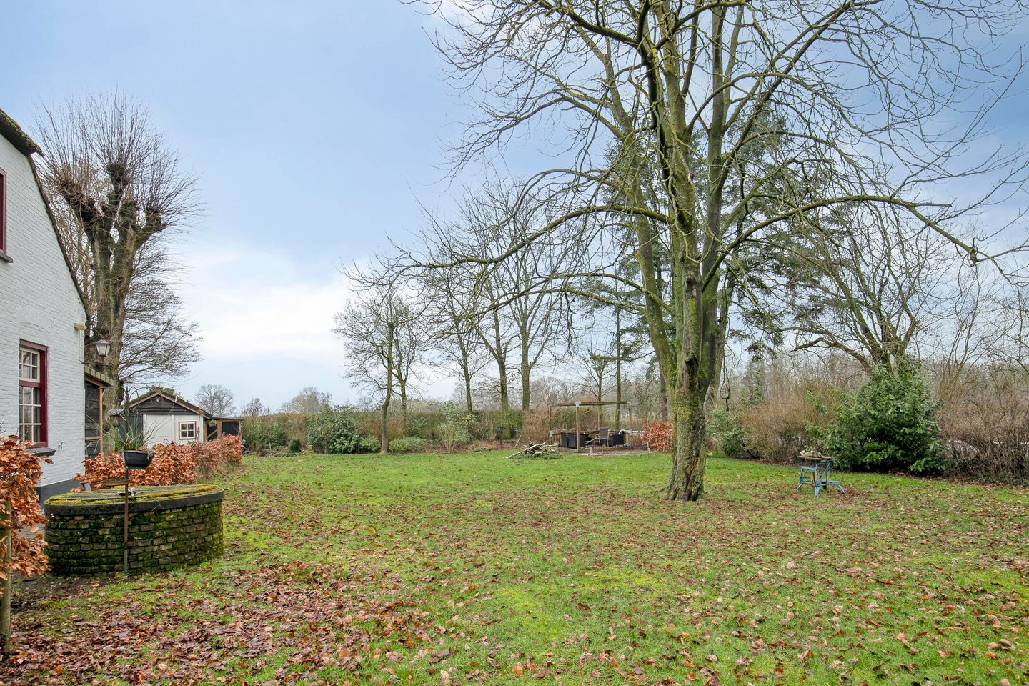 Foto 49 van Speurgt 6-A